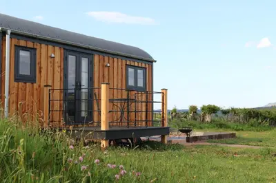 a wooden tiny house in a field of grass at Oak Moor Shepherd Hut - Brecon Beacons, LD3 7TD in Tal-y-llyn