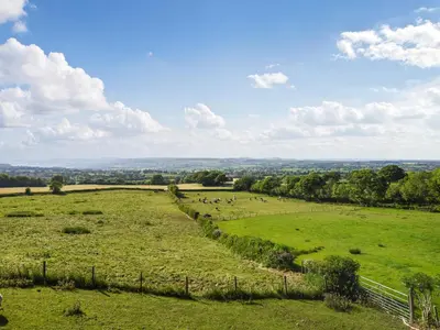 a field of green grass with sheep in the distance at Luna Holiday Pod - Uk48590 in Church Stretton