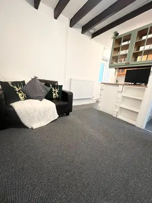 a living room with a couch and a shelf at Cosy Cader Cottage in Dolgellau