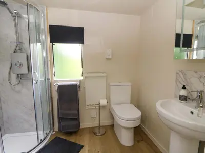 a bathroom with a toilet and a sink and a shower at Gwybedog in Llanwrda