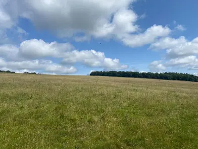 a field of grass with a blue sky and clouds at Croft Lodge Studio in Leominster