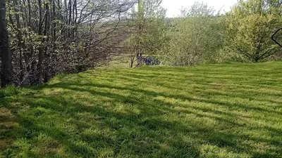 a field of green grass with trees in the background at Cosy Rural Gilbert Hights Llandovery Cynghordy in Cynghordy