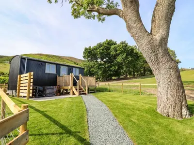 a tiny house with a tree in the yard at Cheviot in Oswestry
