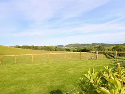 a fence in a field with green grass at Defaid Cymreig in Oswestry