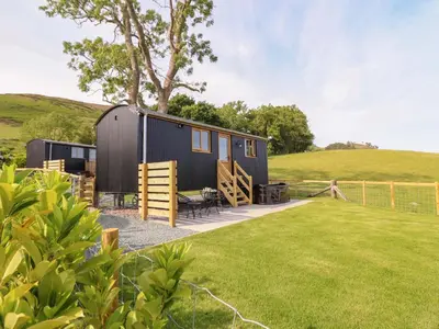 a black tiny house in the middle of a field at Defaid Cymreig in Oswestry