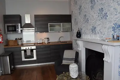 a kitchen with a fireplace and a sink and a stove at Awel Mor 3 Luxury Apartment in Aberystwyth
