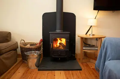 a fireplace in a living room with a fire at Robins Perch Eco Lodge Apartment Lampeter in Lampeter