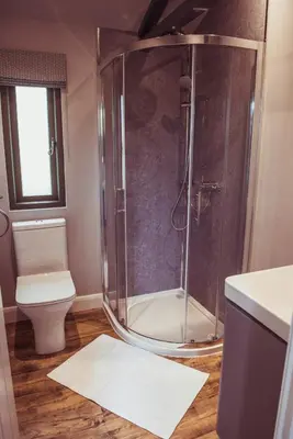a bathroom with a shower and a toilet at Birch Banc Retreats - Bedw Cabin
