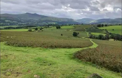 a green field with a dirt road in the middle at Kookaburra Cottage in Brecon