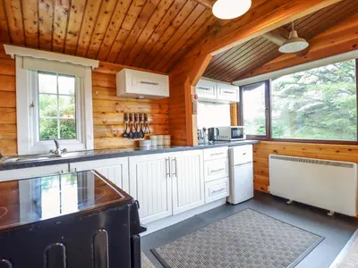a kitchen with white cabinets and a wooden ceiling at Y Bwthyn Pren, Cabin 209, in Trawsfynydd
