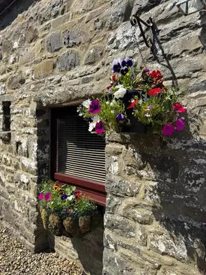 a window with flowers in a stone wall at Nanternis Farm in New Quay