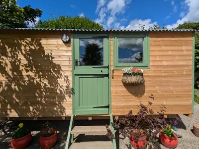 a shed with a green door and a flower pot at Myndy The Shepherd's Hut in Church Stretton