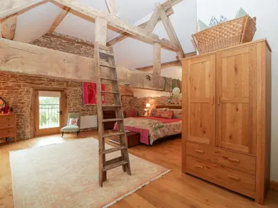 a bedroom with a loft bed and a ladder at The Art House in Leominster