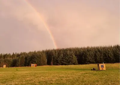 a rainbow in the sky over a field at Glamping Pod - Sleeps 2 - Pets - Parking - Wifi in Llanon