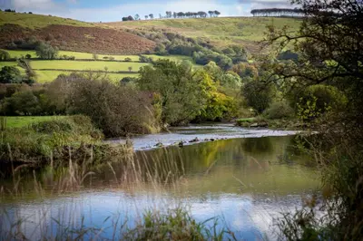 a river with trees and a hill in the background at Felin Gogoyan in Tregaron