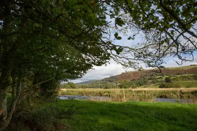 a river in a field with grass and trees at Felin Gogoyan in Tregaron