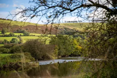 a river with a group of ducks in the water at Felin Gogoyan in Tregaron