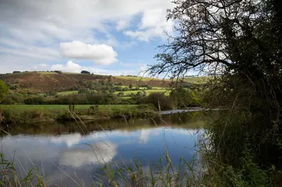 a river in the middle of a field with trees at Bwthyn Bach Brefi in Tregaron
