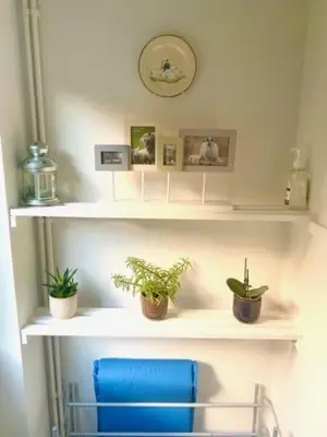 a shelf with a blue chair and plants on it at Outstanding Llangollen Riverside Apartment in Llangollen
