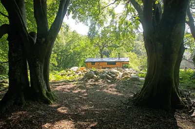 a cabin in the middle of a forest with trees at Woodcutters' Cabin Authentic Log Cabin Talybont Aberystwyth SY245DW in Aberystwyth
