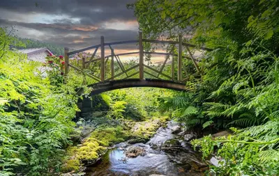 a bridge over a stream in a forest at Y Pandy in Pennal