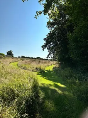 a path through a grassy field with a tree at Pencastell Views in Nantcwnlle