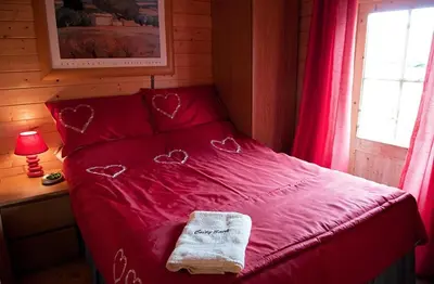 a bed with hearts on it in a bedroom at Lodge with HotTub-Garden-PetsOK-Bbq-MountainViews in Brecon