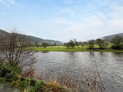 a view of a river with trees and a field at Swan Cottage in Carrog