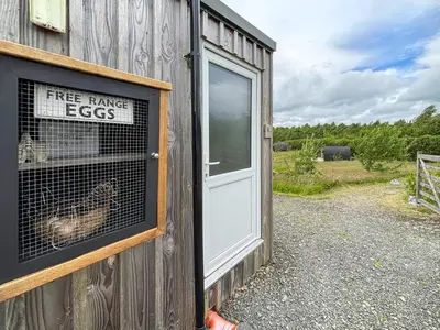 a chicken in a cage in the window of a building at The Sheep Pod - Uk50074 in Welshpool