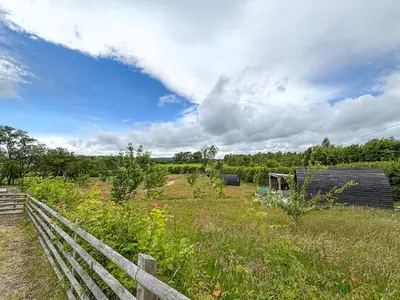 a field with a wooden fence and a barn at The Sheep Pod - Uk50074 in Welshpool