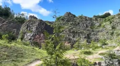 a tree in front of a rocky mountain at Honey Bee Cottage Tiny House Welshpool in Welshpool