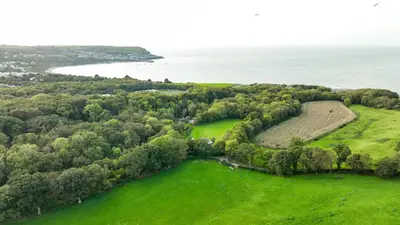 an aerial view of a green field and the ocean at Five Oaks B&B - New Quay in Llanina