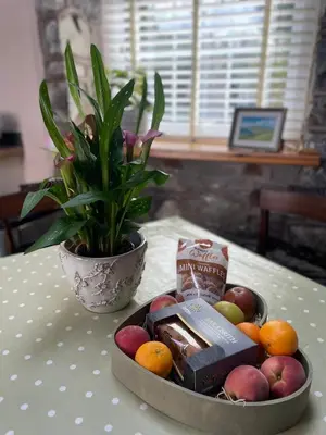 a bowl of apples and oranges on a table with a plant at Y Bwthyn in Llanfihangel-geneuʼr-glyn