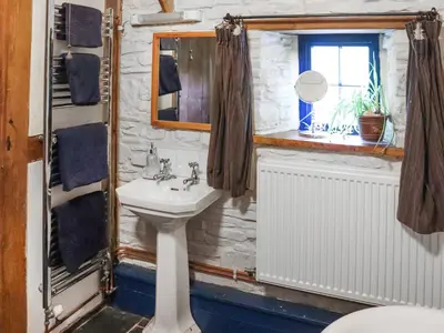 a bathroom with a sink and a window at Thatched Cottage - Uk50261 in Llandeilo