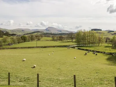 a herd of sheep grazing in a green field at Cyffdy Cottage - Aran in Bala