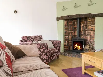 a living room with a couch and a fireplace at Cyffdy Cottage - Tegid in Bala