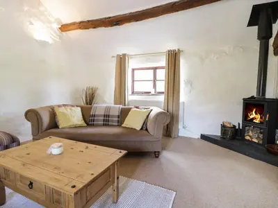 a living room with a couch and a fireplace at Cyffdy Cottage - Arenig in Bala