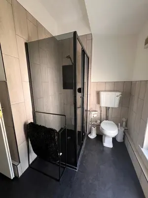 a bathroom with a shower and a toilet at Cilgwyn Manor in Myddfai