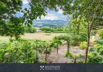 a garden with plants and trees in a field at Modern Snitton Cottage & Gardens in Ludlow