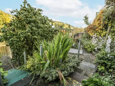 a garden with plants and a fence at Bryn Dwr in Llangollen