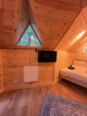 a bedroom in a log cabin with a tv and a bed at Clogau Tree House Hot tub &sauna in Penmaenpool