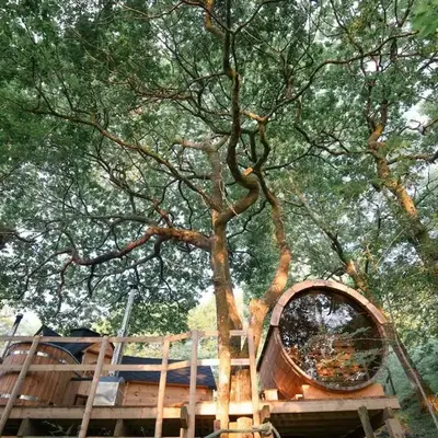 Clogau Tree House Hot tub &sauna