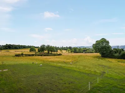 a herd of sheep grazing in a large field at Shropshire Way Stay in Farden