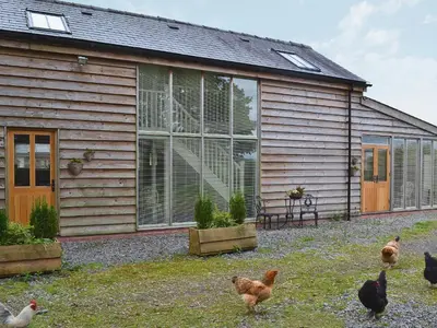 a group of chickens standing outside of a house at Caeley Barn in Penybont