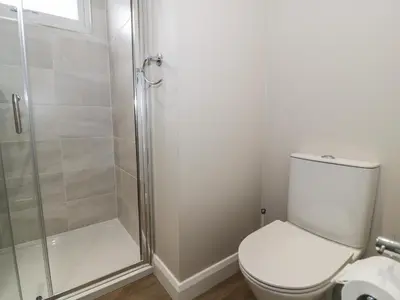 a bathroom with a toilet and a shower at Platinum Lodge 503 in Talybont