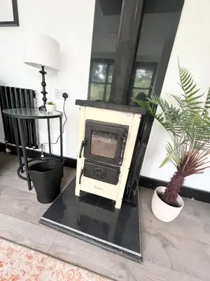 a stove sitting in a living room with a plant at Storeybook cottage in Oswestry