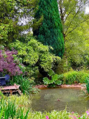 a bench sitting next to a pond in a garden at Storeybook cottage in Oswestry