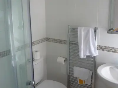 a bathroom with a shower and a toilet and a sink at Sisial y Llyn in Bala
