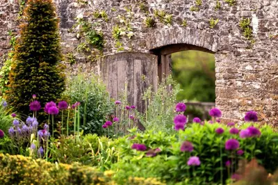 a garden with purple flowers and an old stone bridge at 1 Bed in Llandeilo oc-w33068 in Llanddeusant