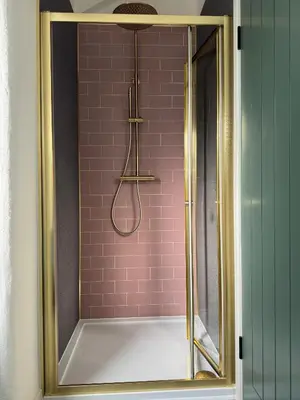 a bathroom with a shower with a pink wall at The Library Cottage at The Old Library in Aberystwyth